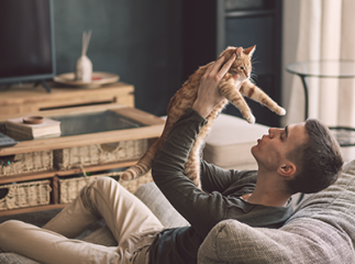 comportement chat